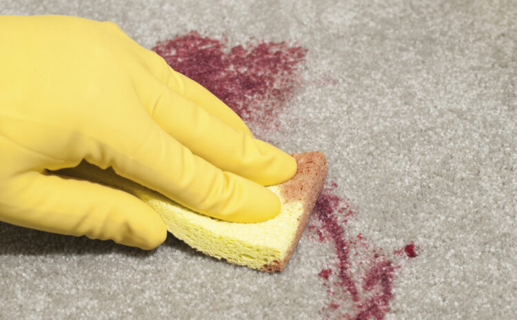  Is Crime Scene Cleanup We See On Tv Accurate?