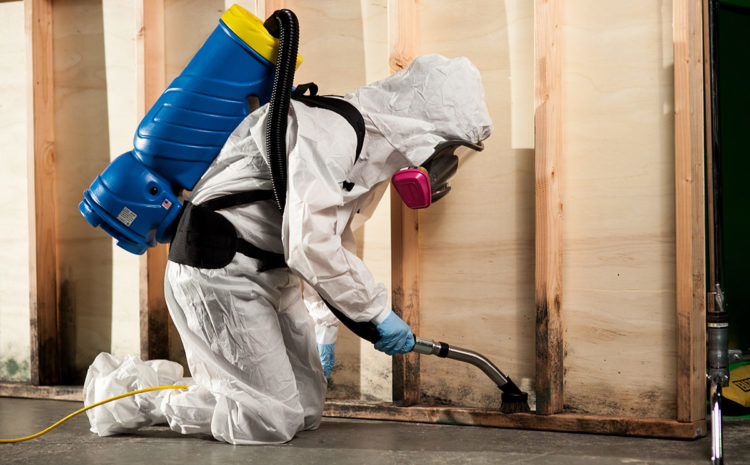  How Water Damage Mitigation Saves Your Property and Health